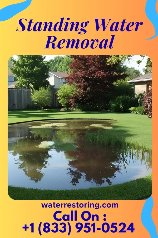 Standing Water Removal in Lakes West, CT